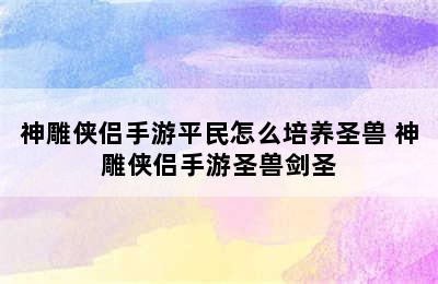 神雕侠侣手游平民怎么培养圣兽 神雕侠侣手游圣兽剑圣